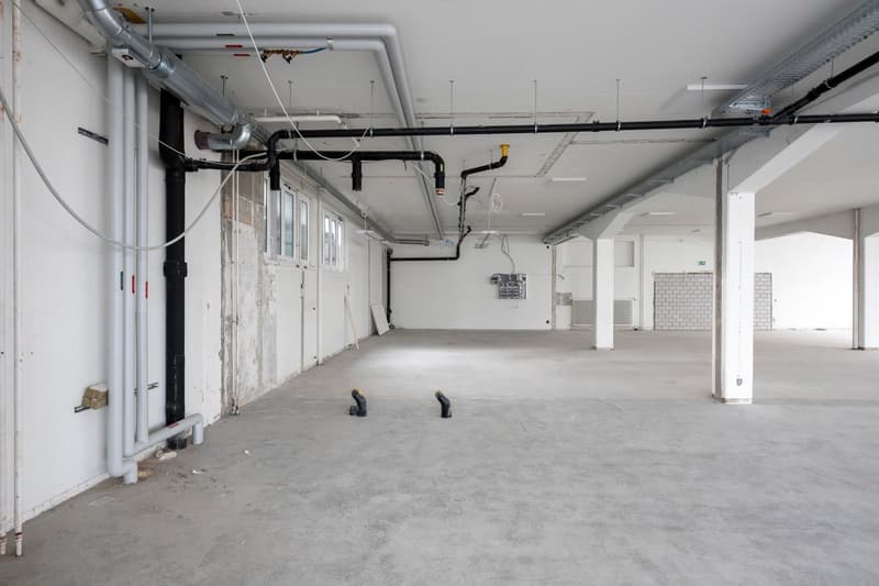spacious room, exposed pipes, two doors, electrical outlets, and wires, windows with white frames, concrete floor