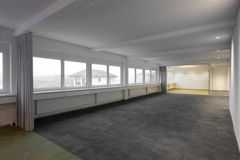 Empty room with white walls, gray carpet, large windows, glass partition, no furniture