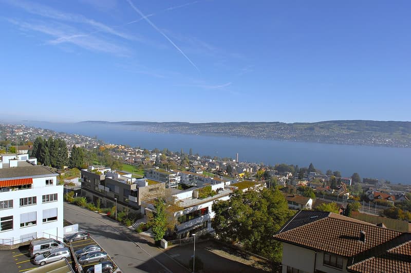 Top Location: Office with Lake View (9)