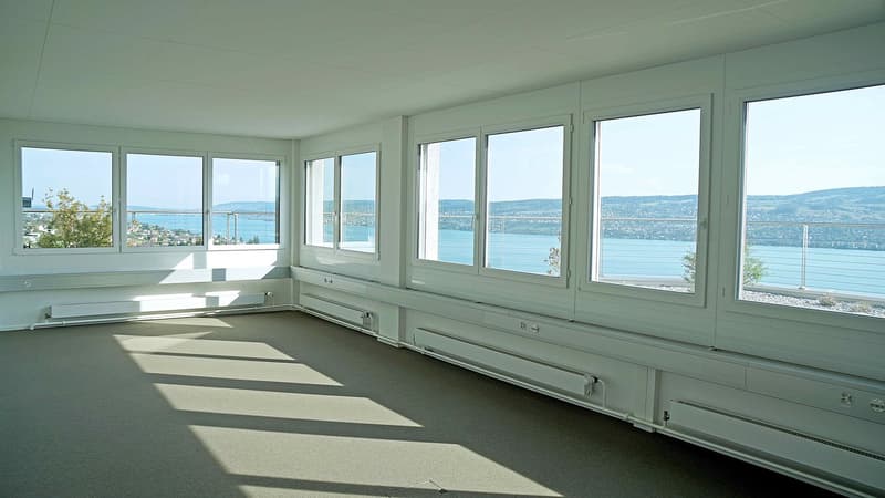 Top Location: Office with Lake View (2)