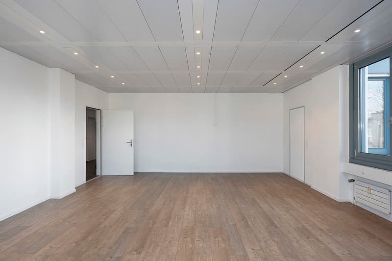 large room, hardwood floors, recessed lighting, large white door, two small doors, large window