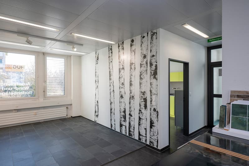 empty room, birch tree wall murals, fluorescent ceiling lights, large windows, black tiles, wooden display