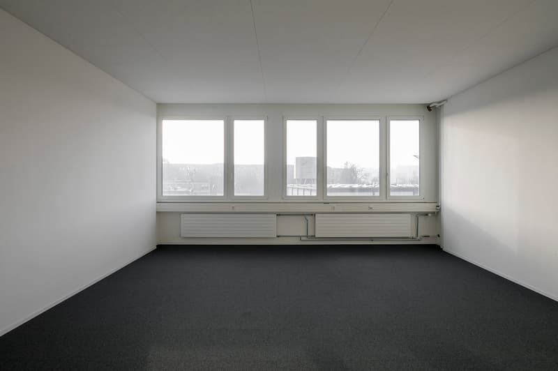 empty room, white walls, black floor, large windows, white radiator