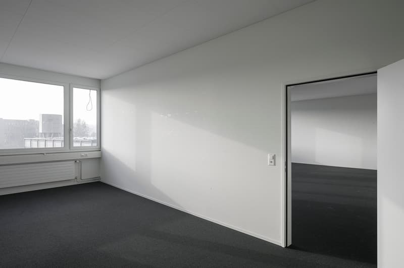 blank white room, 2 windows, radiator, floor has carpet