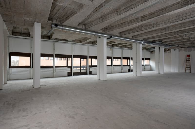 concrete floor, white walls, large windows, metal piping, ladder in corner
