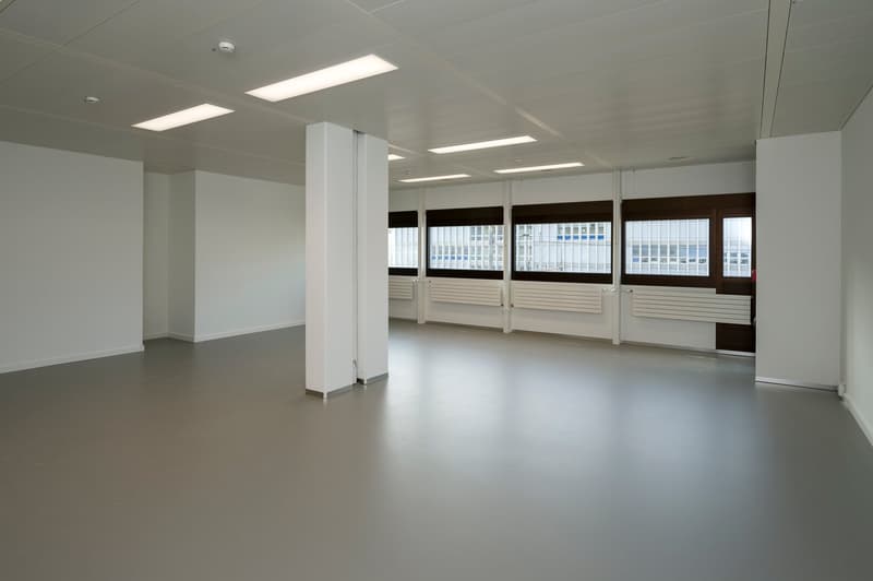 Empty room, white walls, gray floor, white ceiling, windows