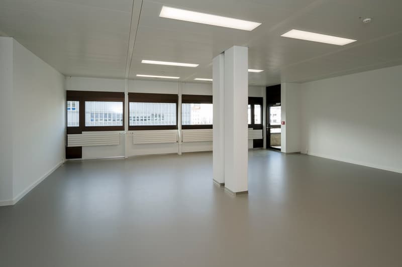 Empty room, gray flooring, white walls, central pillar, windows with wooden frames
