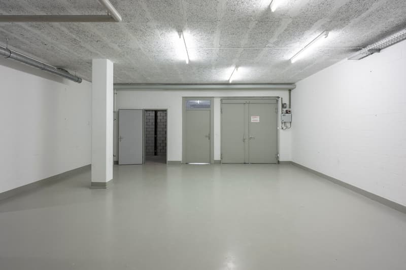 Ihr neuer Standort für Gewerbe, Lager und Logistik in Horgen (4)