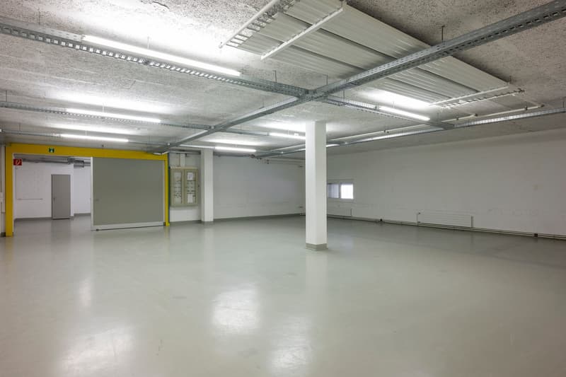 Ihr neuer Standort für Gewerbe, Lager und Logistik in Horgen (5)