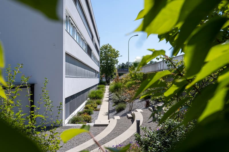 Exzellentes Büro im Erdgeschoss (2)