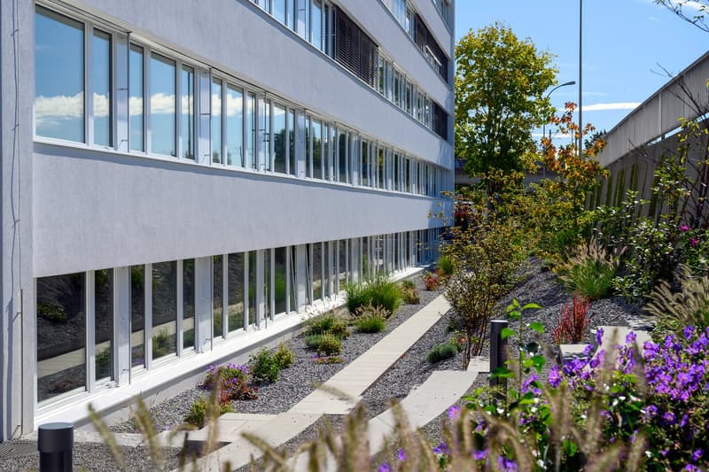 Ihr neuer repräsentativer Standort in Glattbrugg! (12)