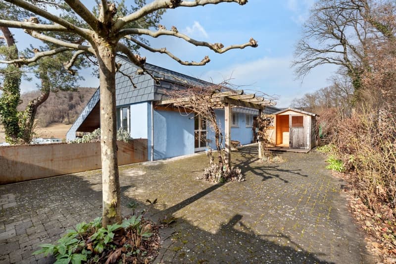 Grosszügiges Einfamilienhaus in Beringen im Grünen (4)