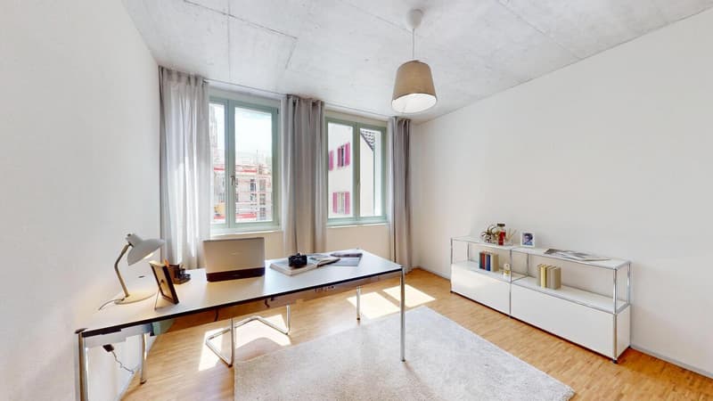 Stilvoll wohnen in der Altstadt - moderne 4.5-Zimmer-Wohnung (5)