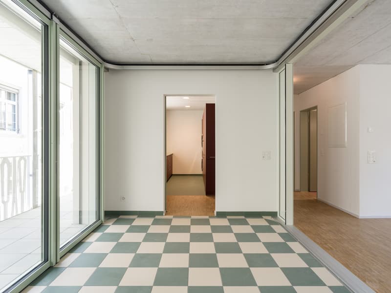 Einzigartige 2.5-Zimmer Neubau-Wohnung an bester Lage (3)