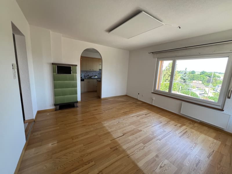 Sonniges Zuhause mit Weitsicht in Langwiesen (8)