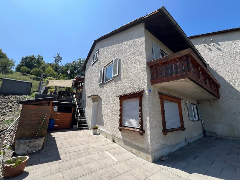 Sonniges Zuhause mit Weitsicht in Langwiesen (1)