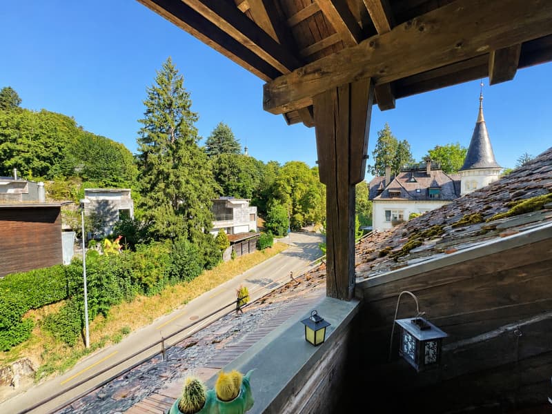 Eigentumswohnung im beliebten Breite-Quartier von Schaffhausen (4)