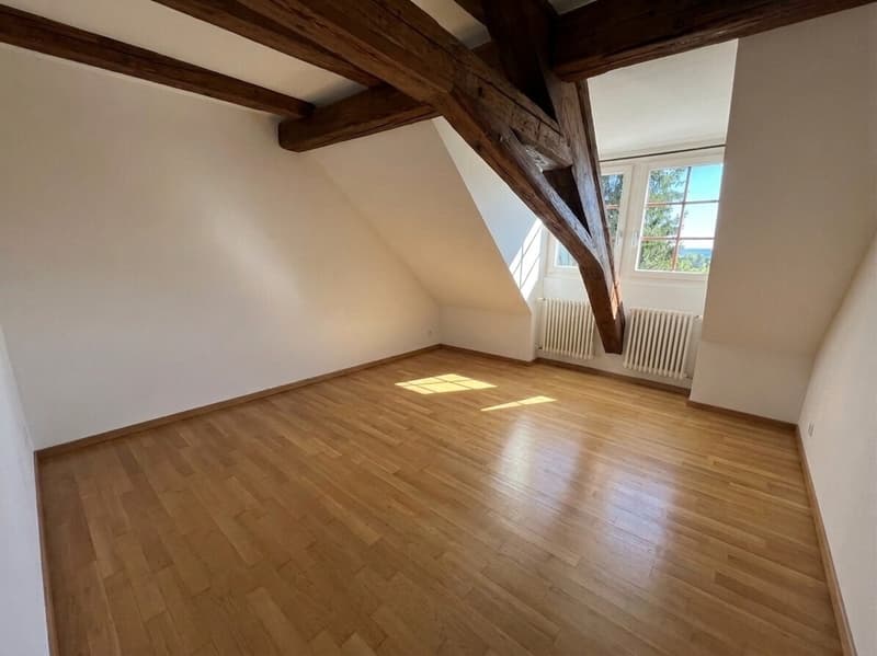 Eigentumswohnung im beliebten Breite-Quartier von Schaffhausen (10)