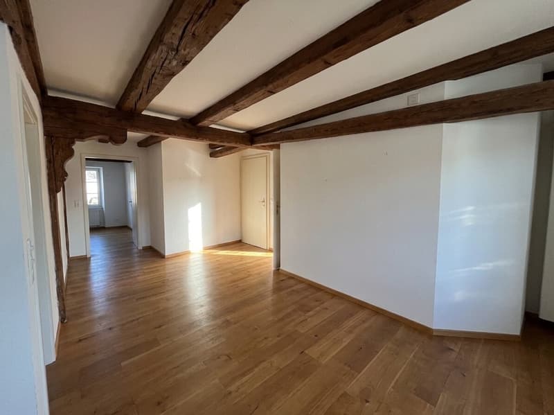 Eigentumswohnung im beliebten Breite-Quartier von Schaffhausen (7)