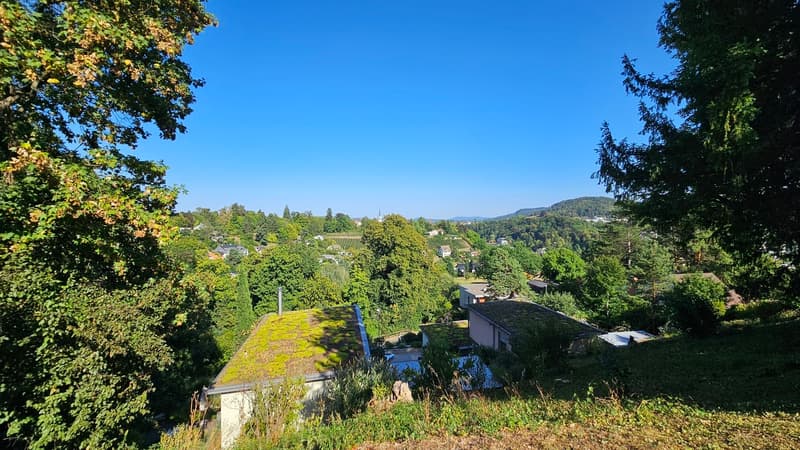 Eigentumswohnung im beliebten Breite-Quartier von Schaffhausen (6)