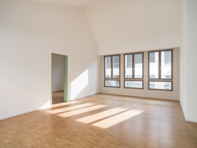 Lichtdurchflutete 3.5-Zimmer Wohnung mit Terrasse in der Altstadt (1)