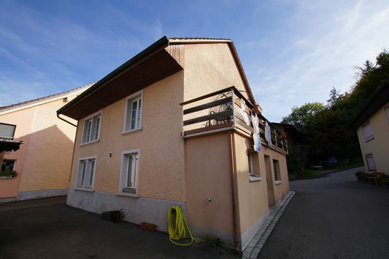 Familienparadies mit grossem Potential! (3)