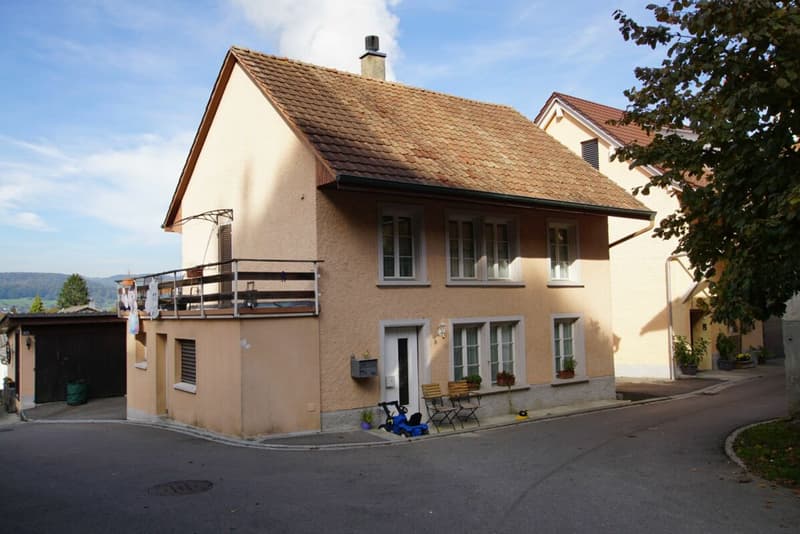 Familienparadies mit grossem Potential! (2)