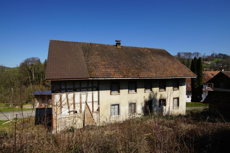 Investitionsobjekt im Grünen (3)
