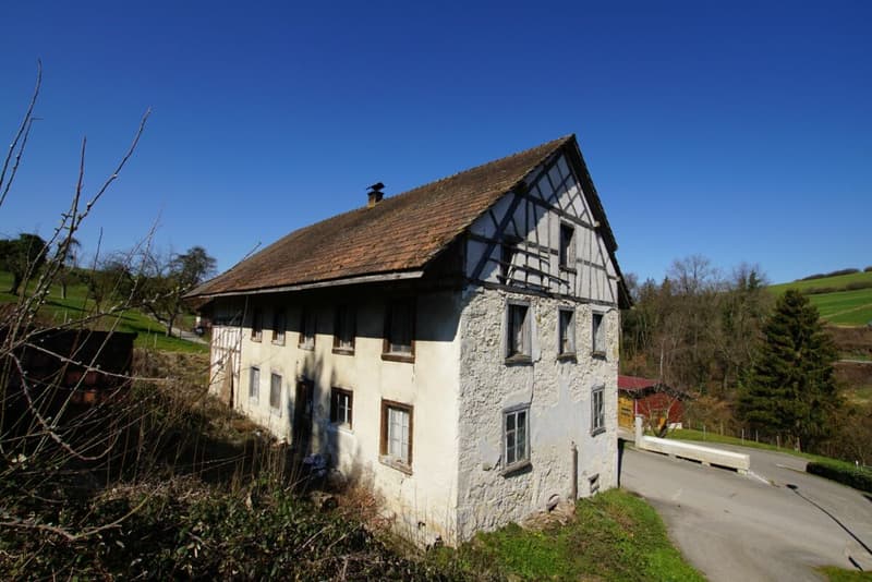 Investitionsobjekt im Grünen (2)