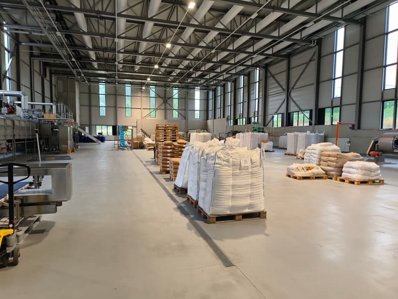 Bestandsbau 2: Produktion ca. 1700 m², 40 t Traglast, Höhe 10.70 m