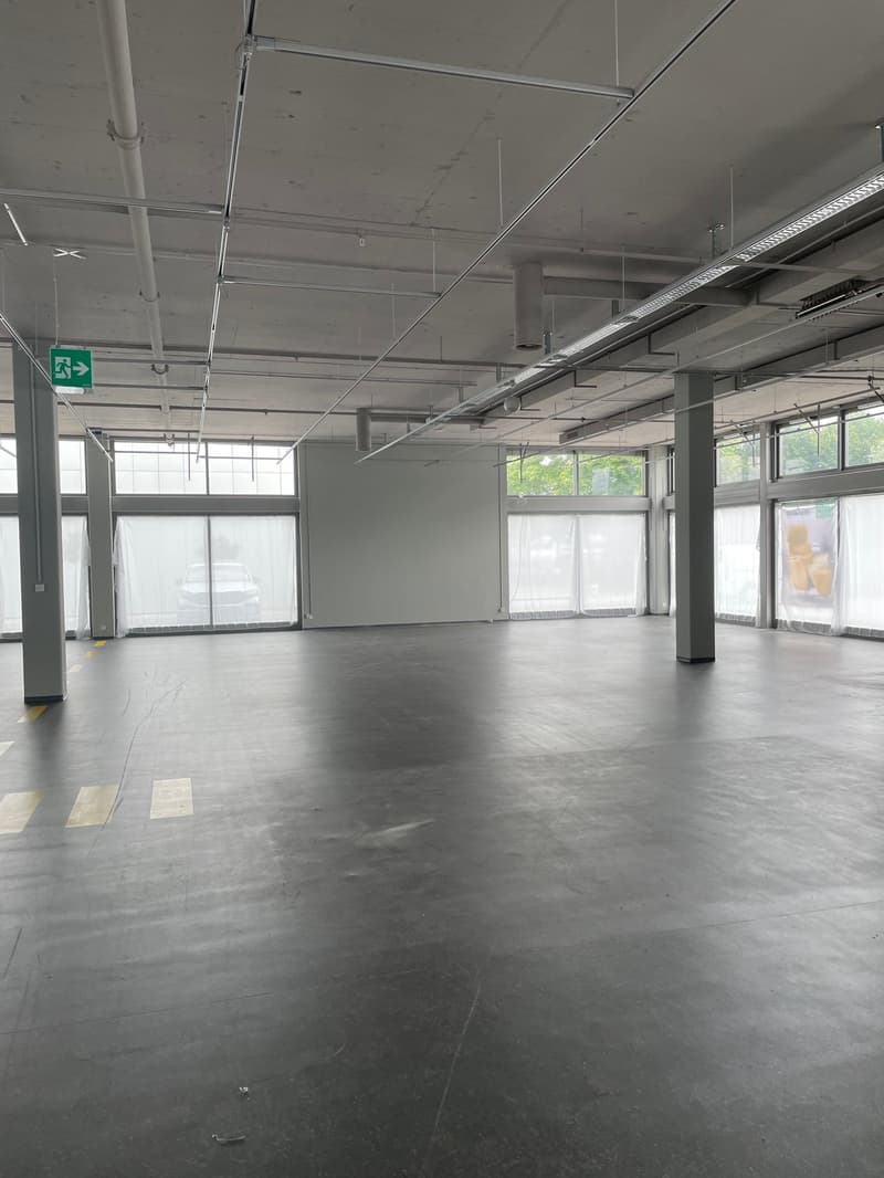 Top-Visibilität von der Zürichstrasse in Hinwil - 2'370 m² (4)