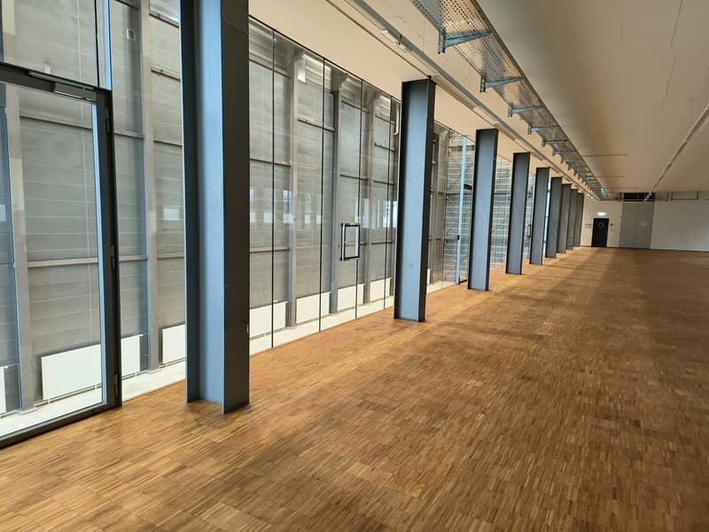 Gewerbeflächen mit vielseitiger Nutzung an strategisch günstigem Standort in Basel (6)