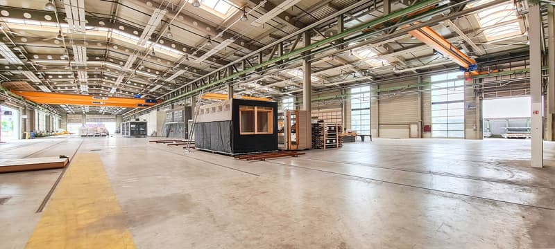 Industriehalle mit Deckenkränen und befestigte Aussenflächen (8)