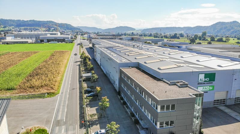 Industriehalle mit Deckenkränen und befestigte Aussenflächen (4)