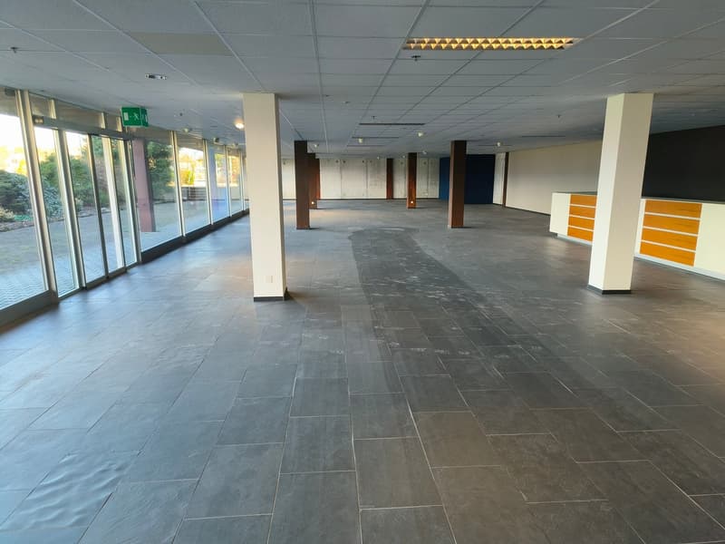 EG Verkauf/Showroom ca. 1'650 m²