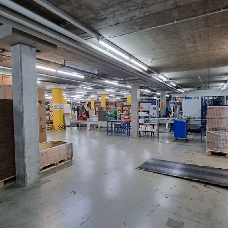 Bestandsbau Halle 1, Untergeschoss ca. 1'066 m²