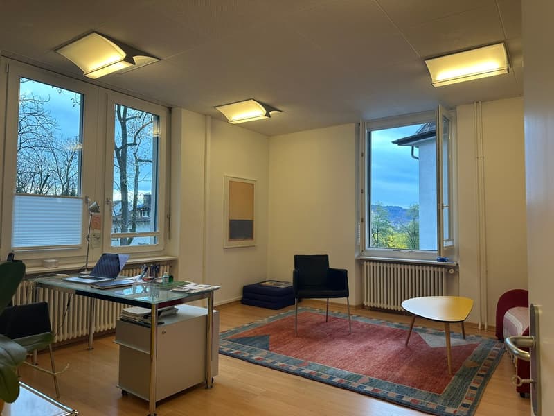 Ruhig und Zentral - Büro oder Praxis am Schaffhauserplatz (2)