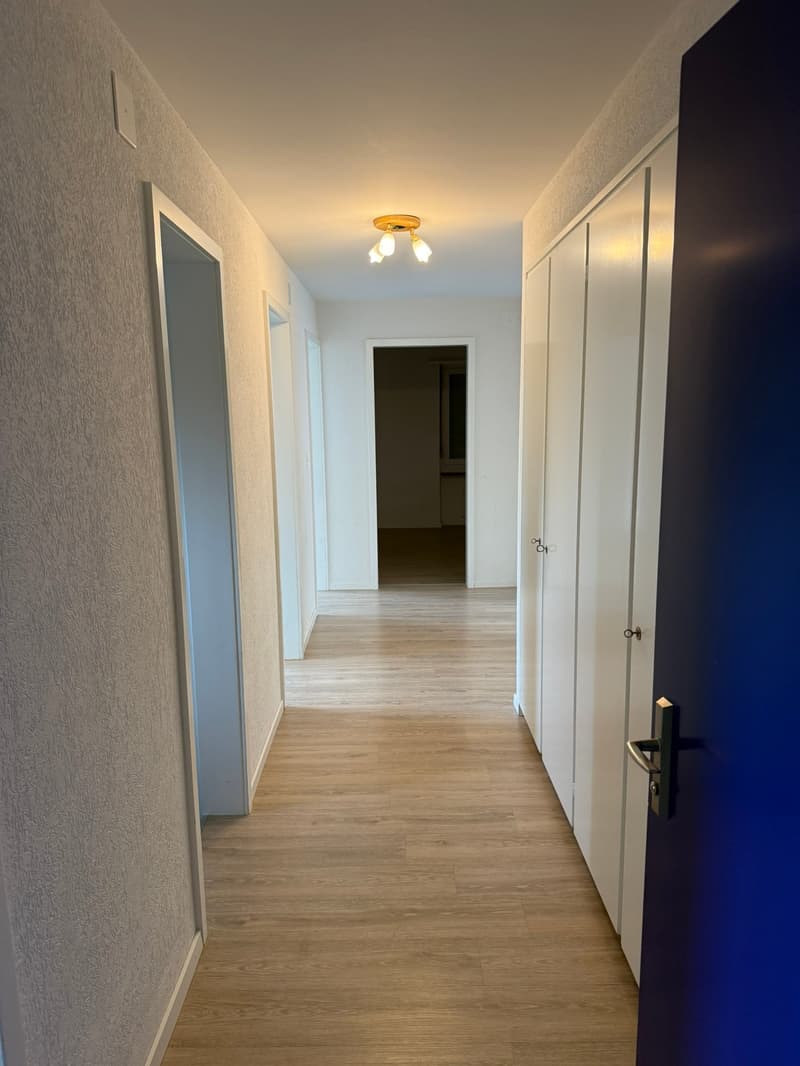 Grosszügige Wohnung im Hohrainli-Quartier (2)