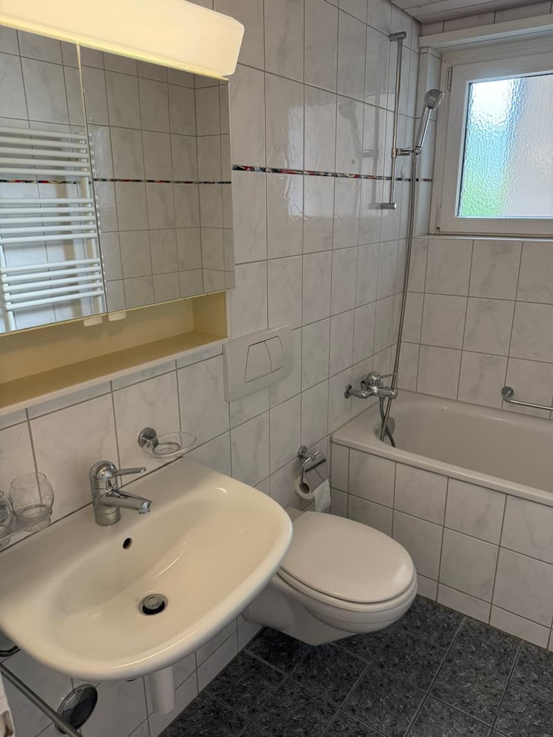 Grosszügige Wohnung im Hohrainli-Quartier (11)