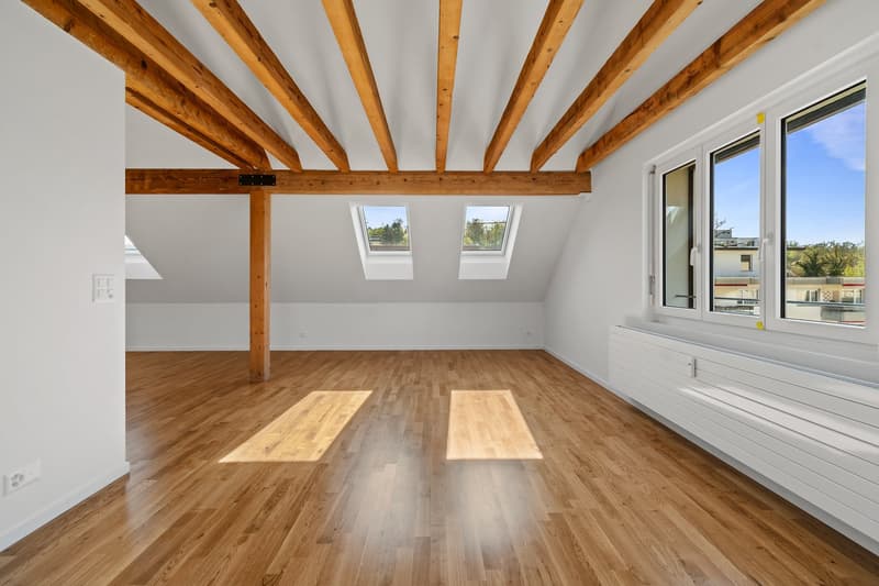 Grosszügige, helle 2.5-Zimmer Dachwohnung (5)