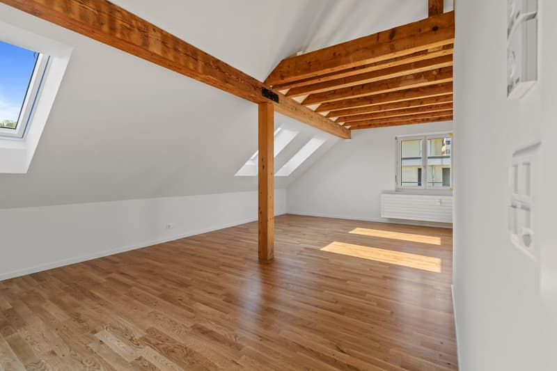 Grosszügige, helle 2.5-Zimmer Dachwohnung (4)