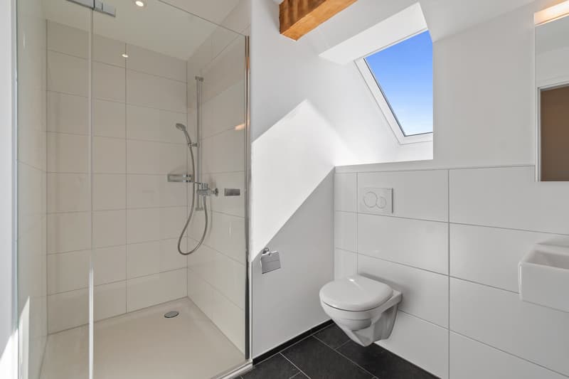 Grosszügige, helle 2.5-Zimmer Dachwohnung (7)