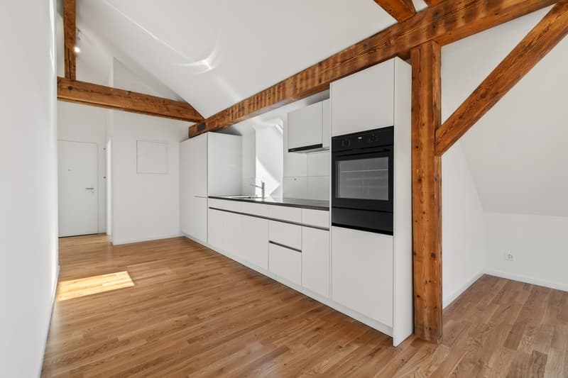 Grosszügige, helle 2.5-Zimmer Dachwohnung (3)
