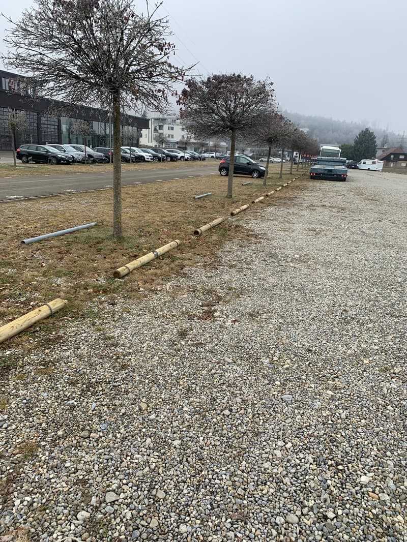 Outdoor parking lot with gravel, parked cars, trees, buildings in the background