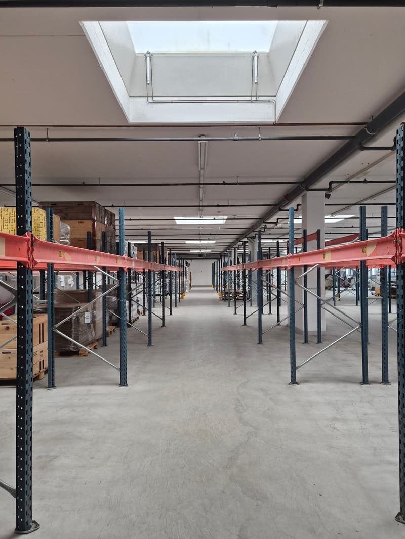 Empty warehouse with metal shelving and storage boxes, metal beams, white ceiling, skylight