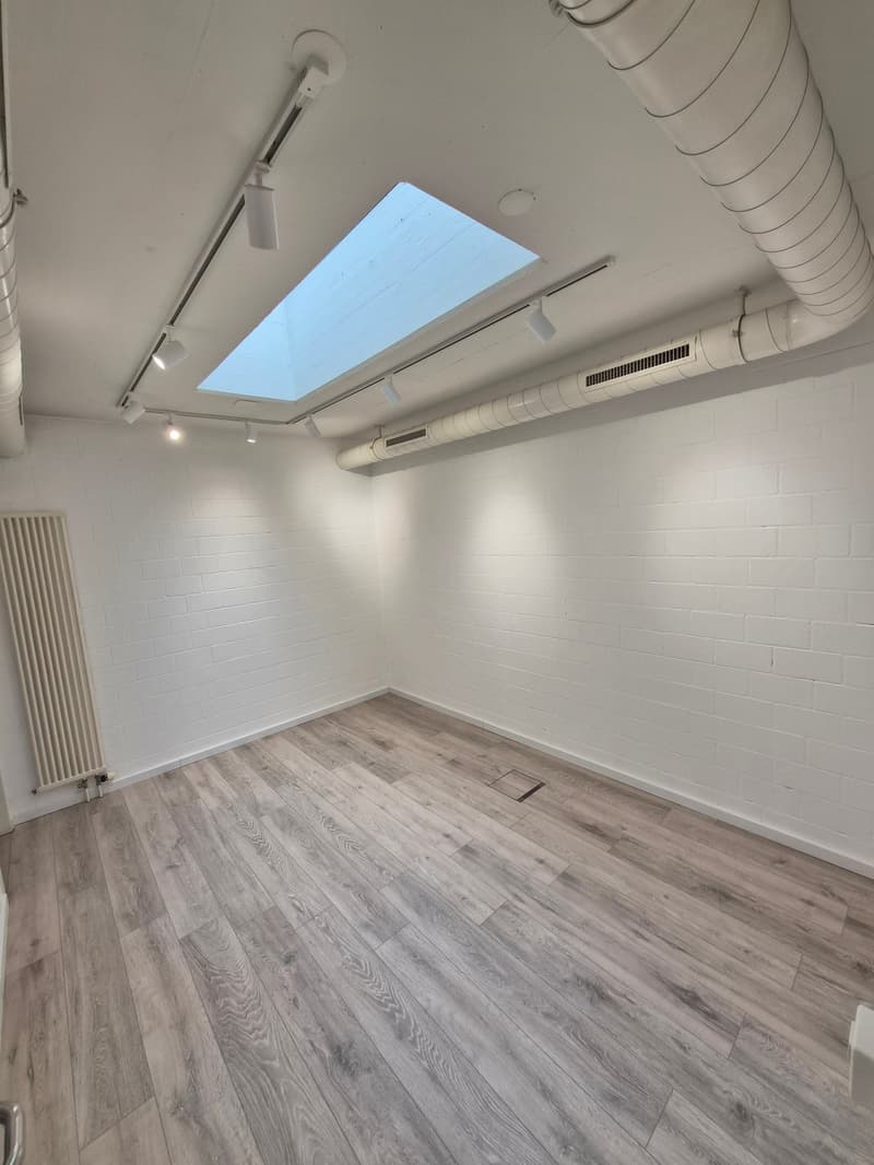 Empty room with white walls, wooden floor, white ceiling, skylight, track lighting, and a white radiator.