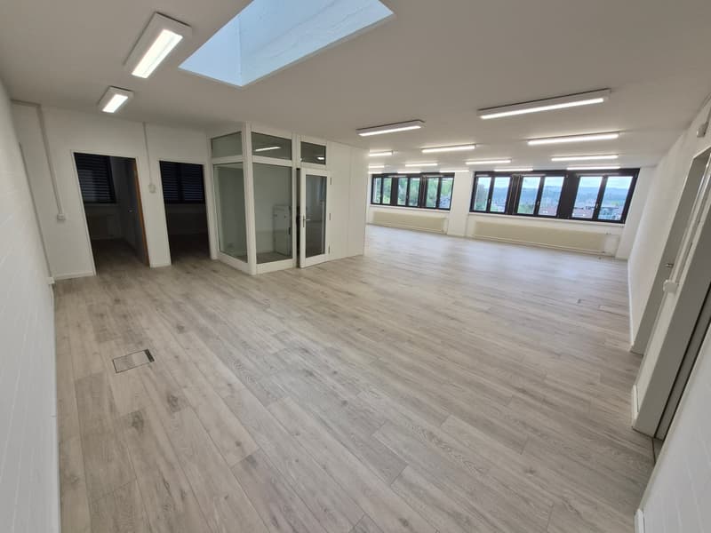 empty room, wooden floor, white walls, glass doors, windows, skylight
