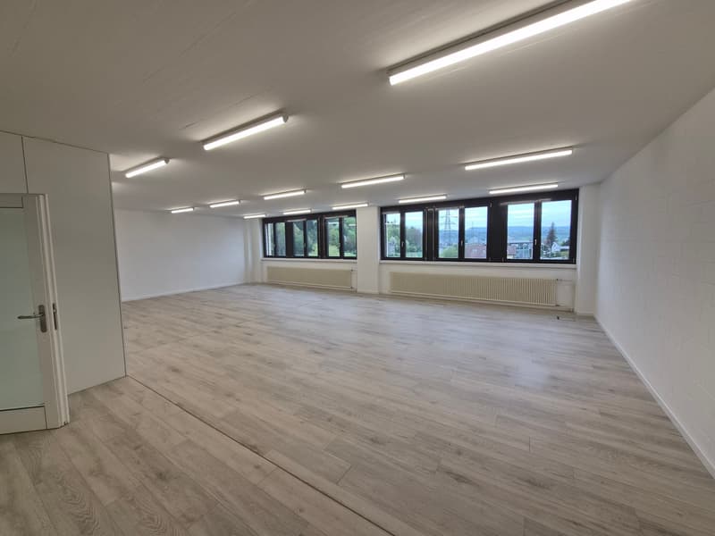 empty room, wooden floor, white walls, windows, ceiling lights, radiators