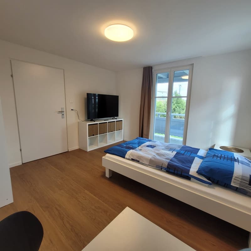 modern möbliertes Zimmer in Winterthur (1)