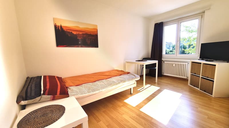 Modern möbliertes Zimmer in Wollishofen (1)